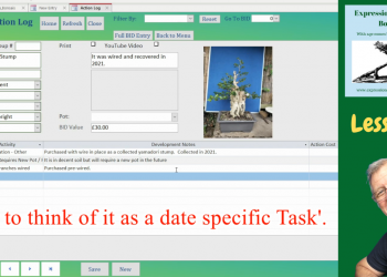 Using Your Bonsai App 1