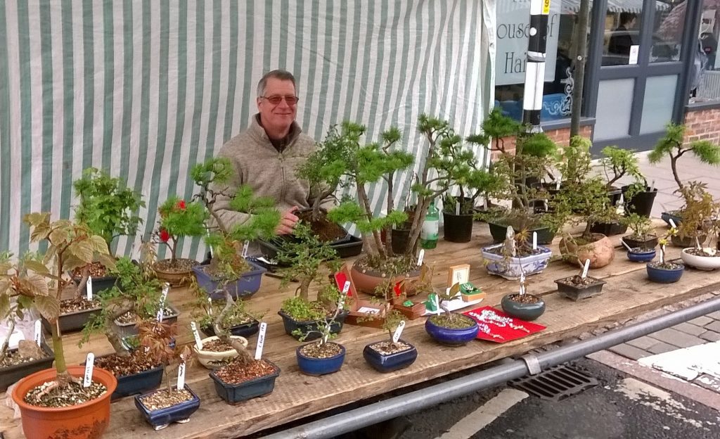 Expressions of Grace Bonsai Market