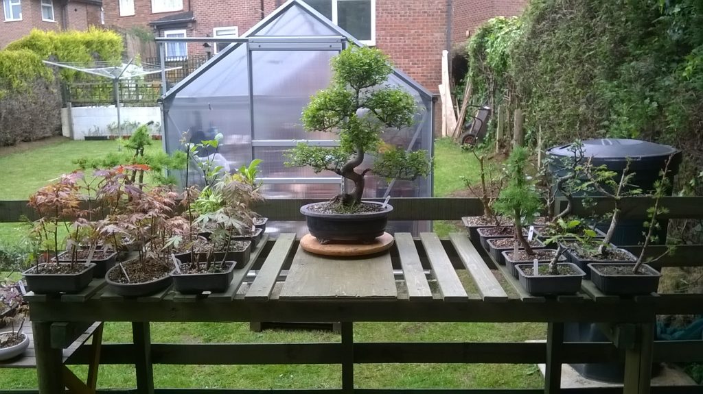 Bonsai Nursery Benches