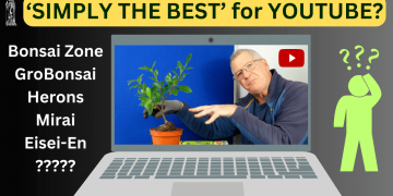 Launching a NEW Website for 2024
