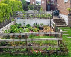 Yamadori&  Nursery beds